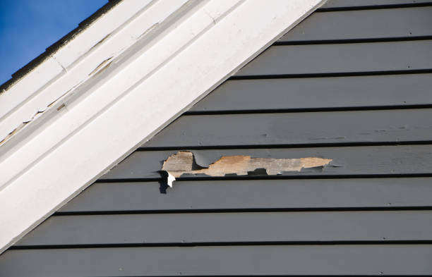 Best Same-Day Junk Removal Services  in Oildale, CA